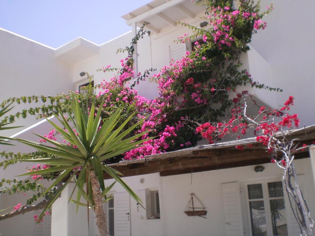 Paros Rita Studios Писо-Ливади Экстерьер фото