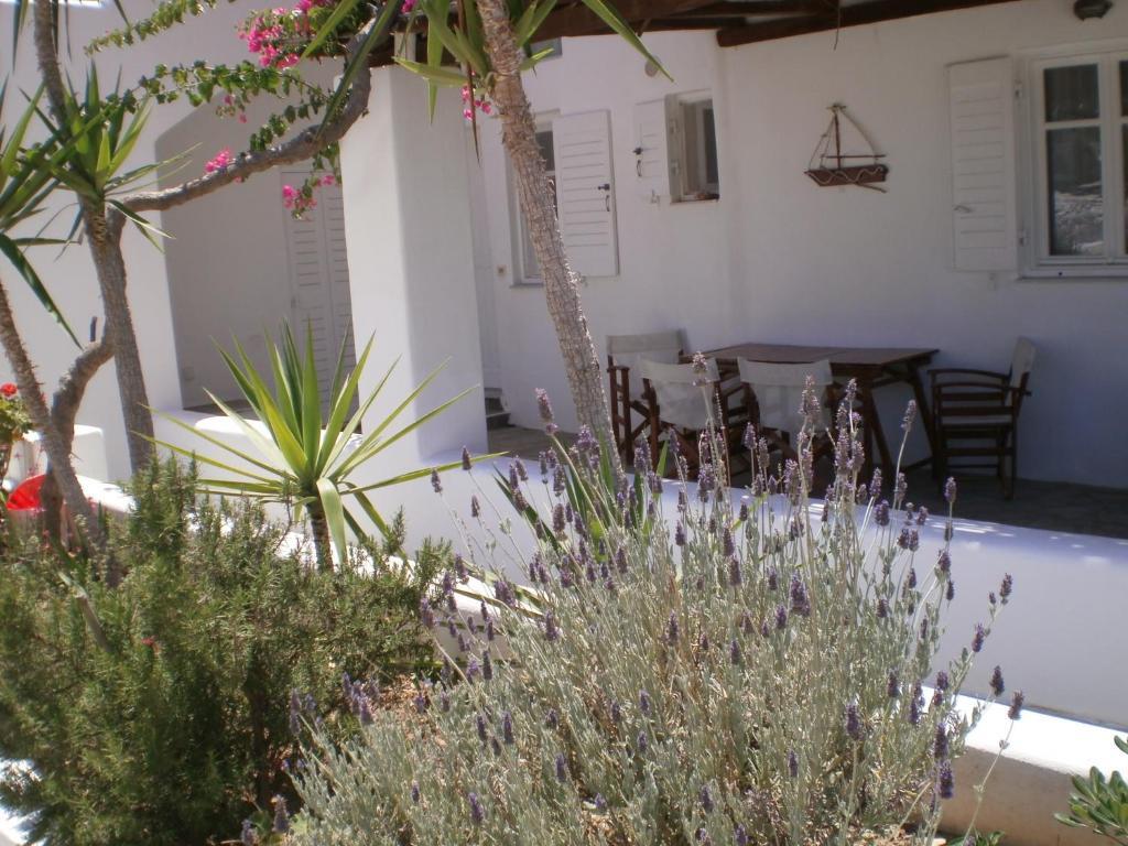 Paros Rita Studios Писо-Ливади Экстерьер фото